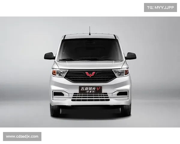 什么?五菱汽车换LOGO了? 什么?五菱汽车换LOGO了?