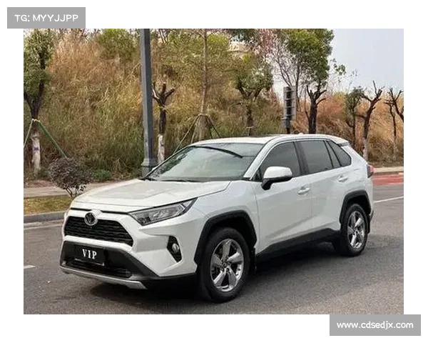 全新RAV4荣放换代!国六排放+全景天窗,自带胎压监测 全新RAV4荣放换代!国六排放+全景天窗,自带胎压监测